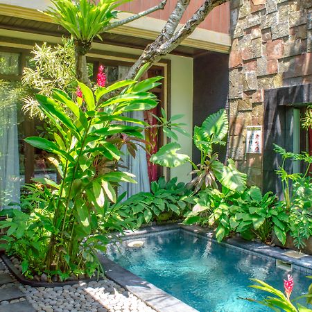 The Bali Dream Villa Seminyak Екстер'єр фото