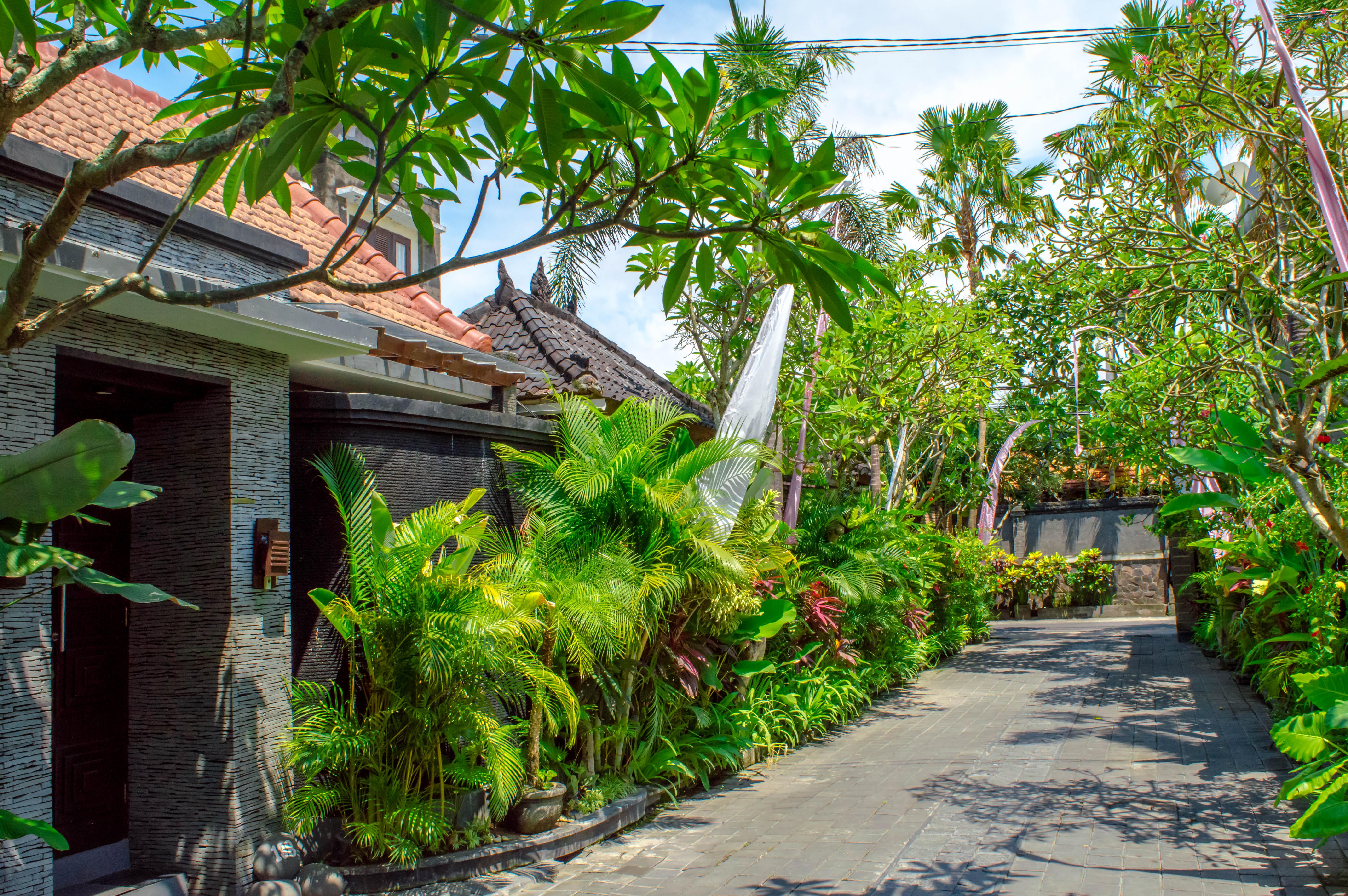 The Bali Dream Villa Seminyak Екстер'єр фото